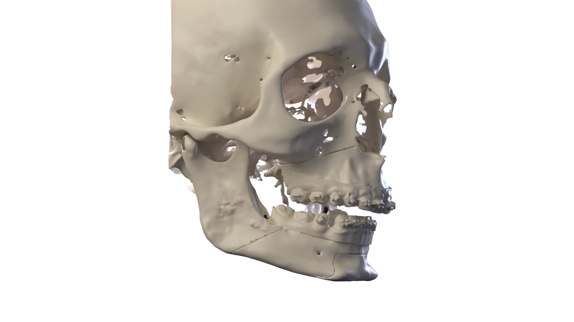 Imagen 3D: Debajo, la estructura